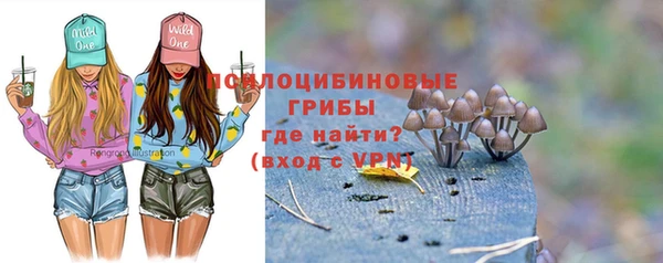 индика Алексеевка