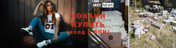 дмт Елизово