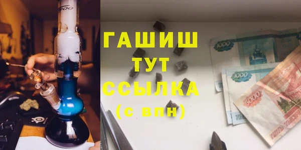 гидра Ельня