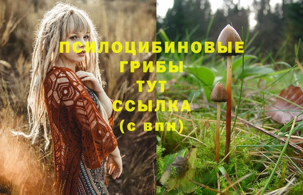 прущая мука Алзамай