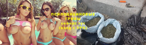 прущая мука Алзамай