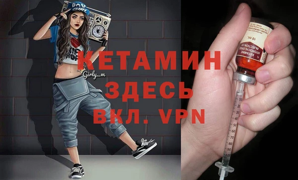 гидра Ельня