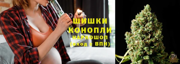 тгк Елабуга