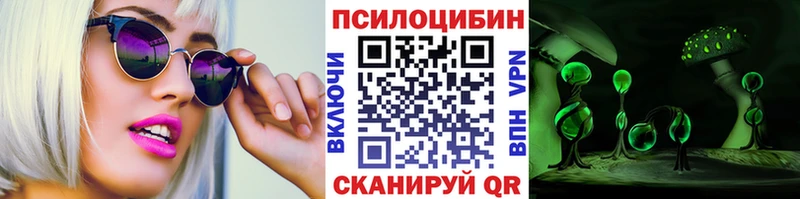 закладки  Северская  Псилоцибиновые грибы прущие грибы 